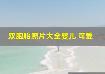 双胞胎照片大全婴儿 可爱